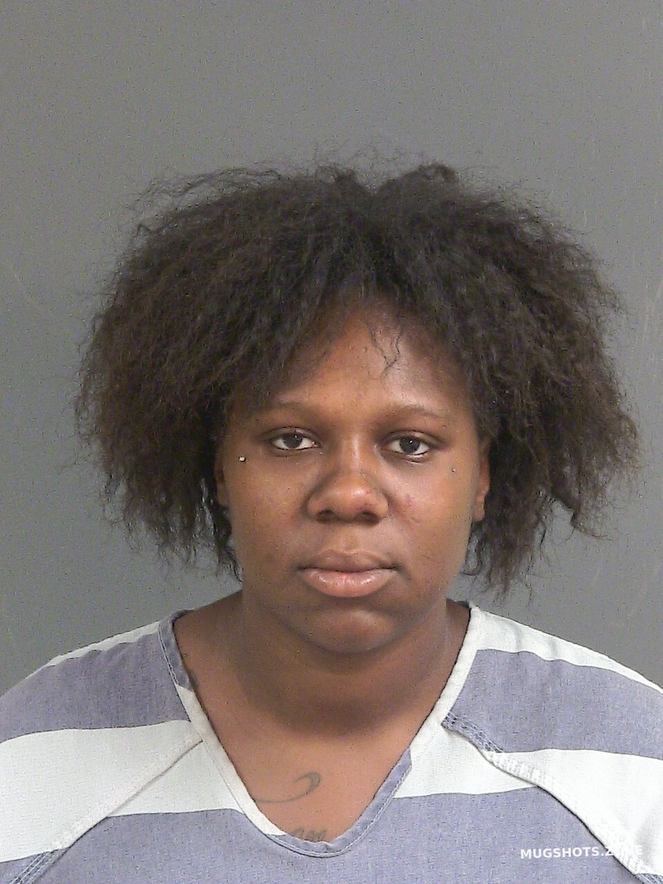 WHITE LAQUASHA JAVONNE 11/13/2024 Charleston County Mugshots Zone