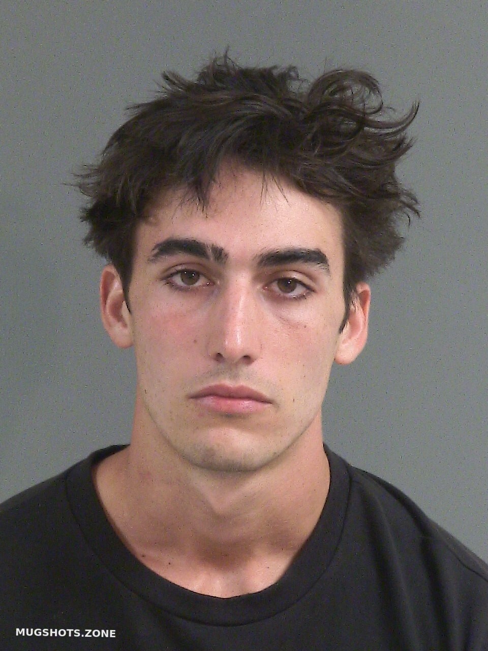 ORWIG OLIVER MICHAEL 09/17/2025 Charleston County Mugshots Zone
