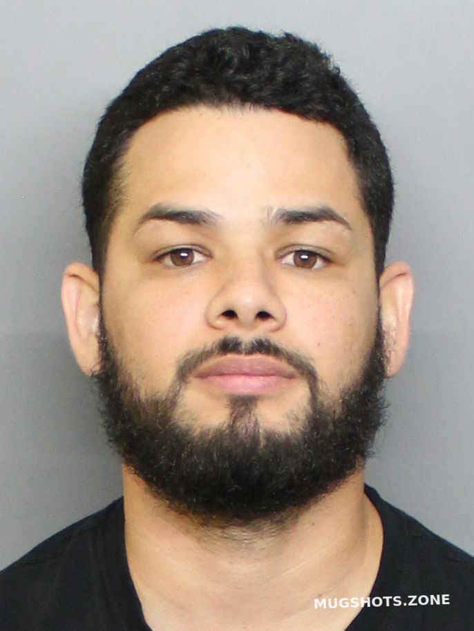 GONZALEZ AGOSTO BILLY JOE 11/22/2022 Charlotte County Mugshots Zone