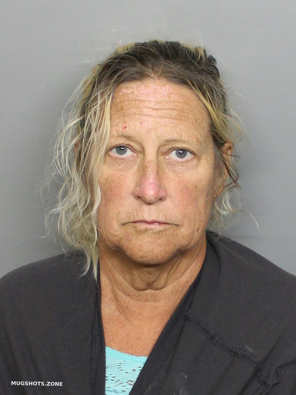 Cribbs Lynda Lee 04 13 2023 Charlotte County Mugshots Zone