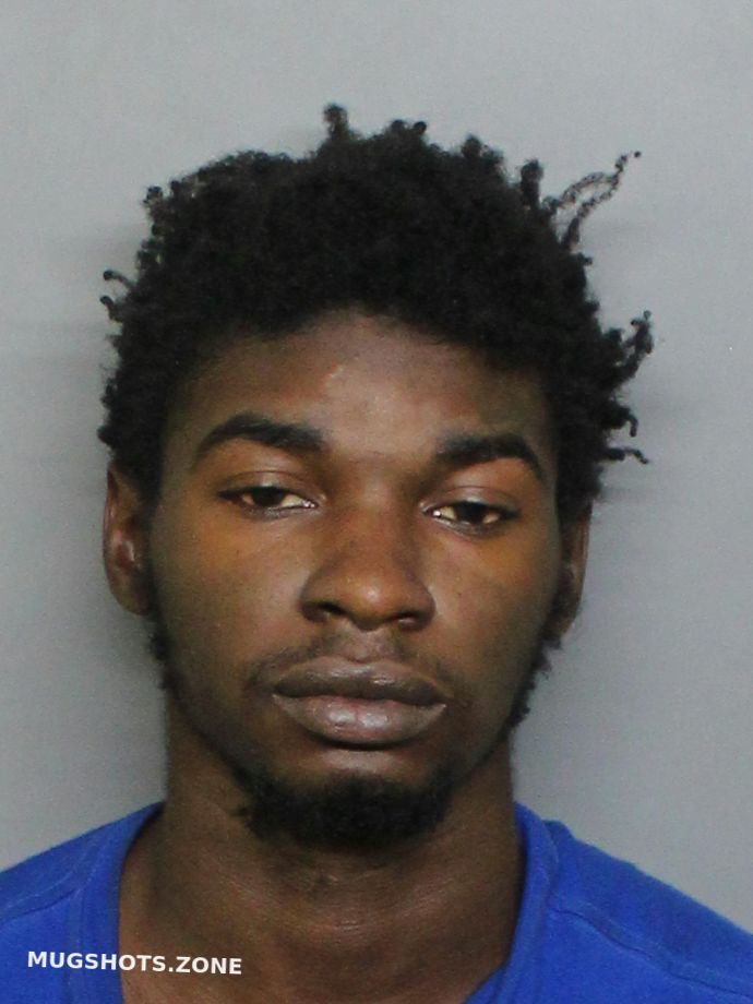 WILLIAMSON DAMON ALEXANDER 08/11/2023 - Charlotte County Mugshots Zone