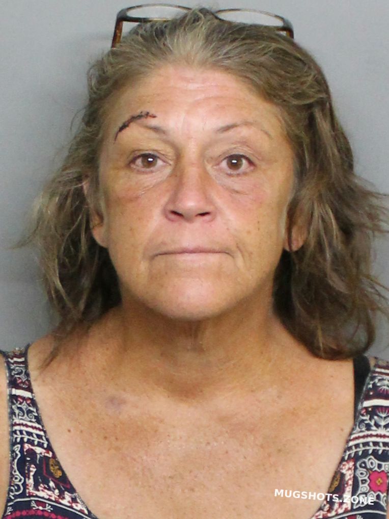 HARTFORD LYNNE A 09/29/2023 Charlotte County Mugshots Zone