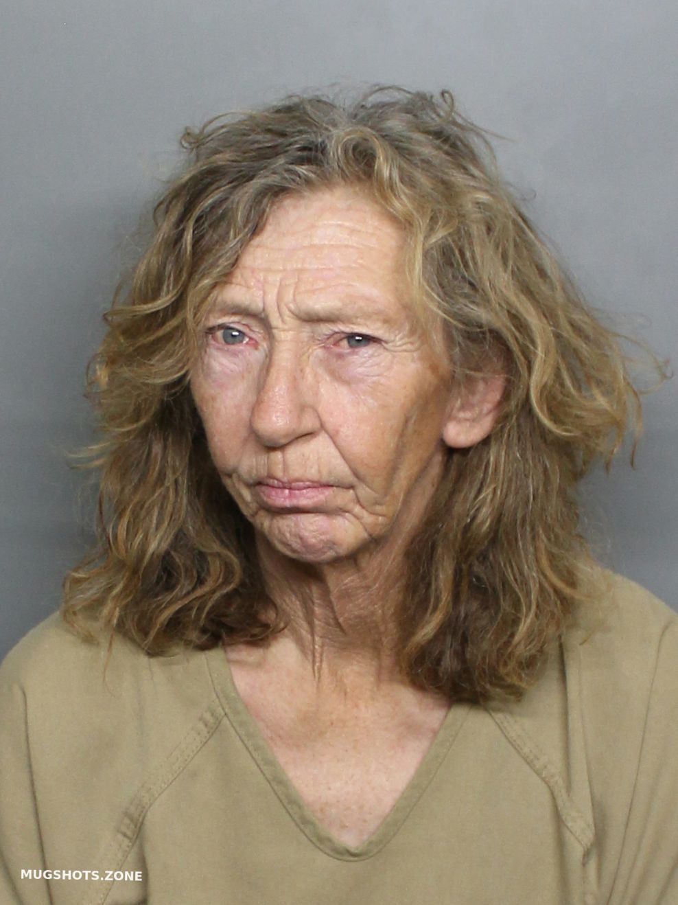 SMITH GINGER KAY 01/03/2025 - Charlotte County Mugshots Zone