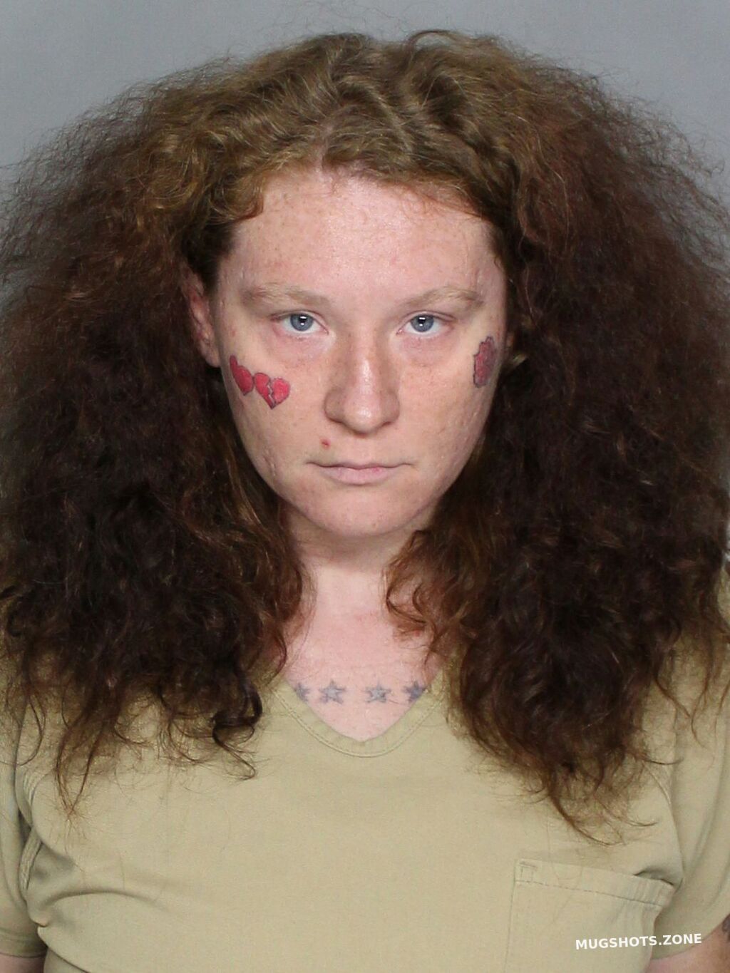 How to Access Charlotte County Jail Mugshots Online Safely