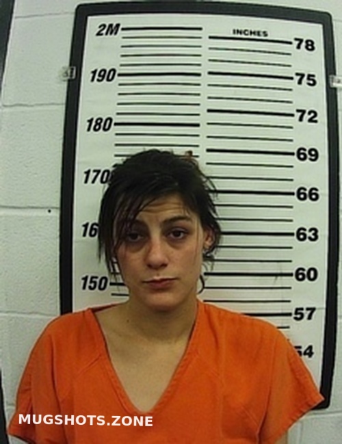 Heather Lynn Burton 02 26 2021 Cherokee County Mugshots Zone