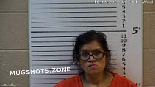 ORR SARAH ASHLEY 10/18/2023 - Cherokee County Mugshots Zone