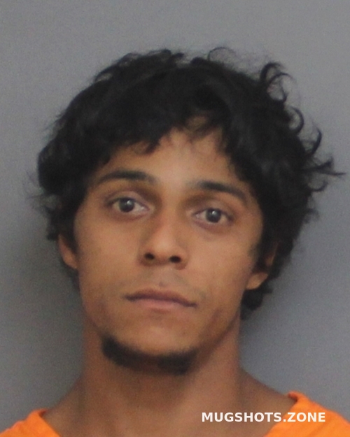 BINGHAM SEAN 11/17/2023 Cherokee County Mugshots Zone