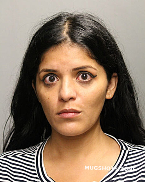 SUSANA BEIZA-SANCHEZ 09/06/2021 - Chicago Mugshots Zone