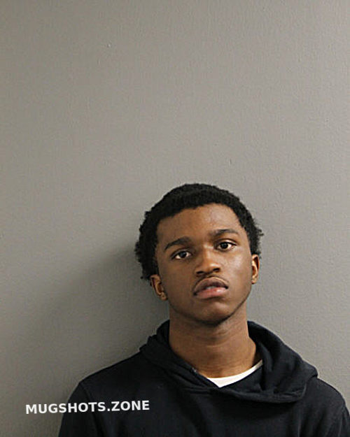 Detrevion N Williams 10 30 2021 - Chicago Mugshots Zone