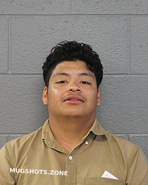 JUNIOR ARTURO QUEZADA 08/07/2022 Chicago Mugshots Zone