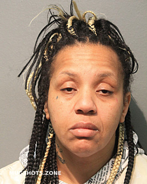 ERICA D FOX 10/14/2022 - Chicago Mugshots Zone