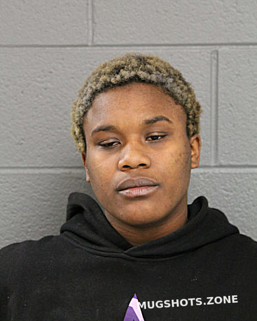 BRIANA D BUSH 12/25/2022 - Chicago Mugshots Zone