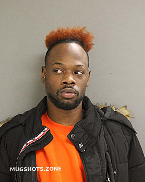 BRASSEL CHANEY 01/25/2023 - Chicago Mugshots Zone