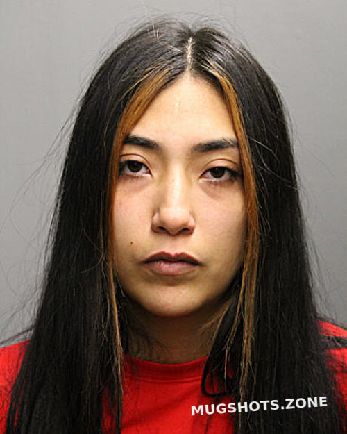 VIANEY DORANTES 02/28/2023 Chicago Mugshots Zone