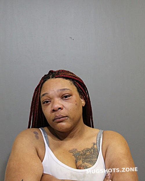 AMANDA L STEWARD 04/13/2023 - Chicago Mugshots Zone