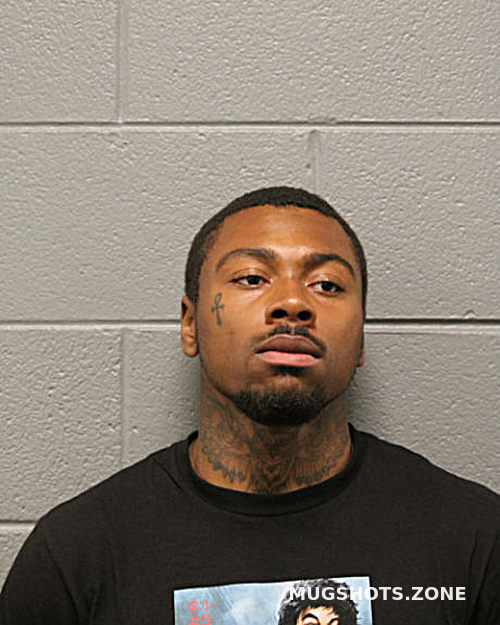 JHAMARI L HAMILTON 06/13/2023 - Chicago Mugshots Zone