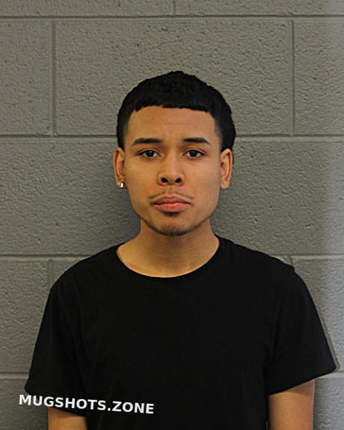 JONATHAN FERNANDEZ 08/11/2023 - Chicago Mugshots Zone