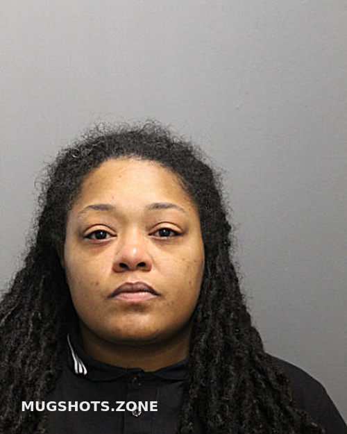ASHLEY N FITZPATRICK 09/13/2023 - Chicago Mugshots Zone