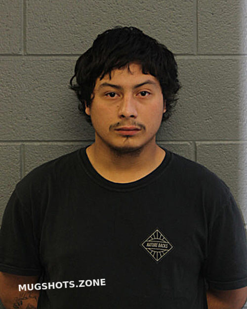 Jesus Salgado Castrejon 10 19 2023 Chicago Mugshots Zone