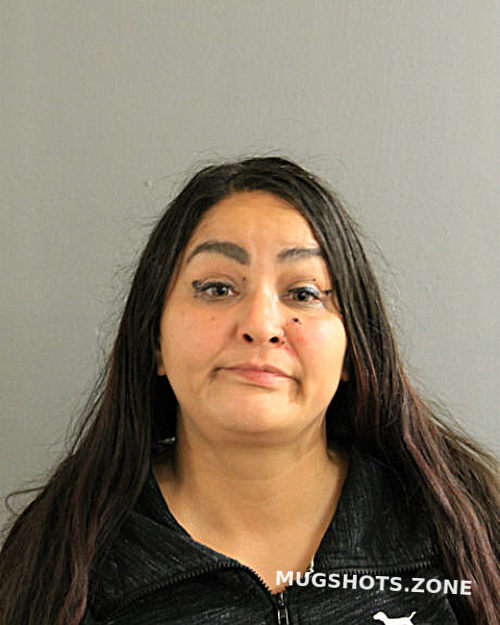 SARA ANZALDUA 10/24/2023 - Chicago Mugshots Zone