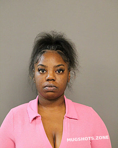 ALYSSA N JOHNSON 11/11/2023 Chicago Mugshots Zone