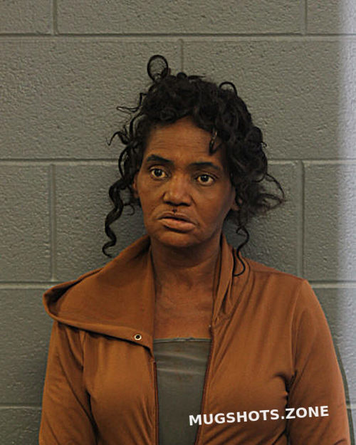 Sandra L Pierce 11162023 Chicago Mugshots Zone