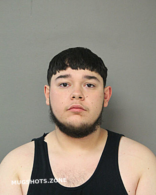 VIRGILIO JAYLENE JR TORRES 11/27/2023 - Chicago Mugshots Zone