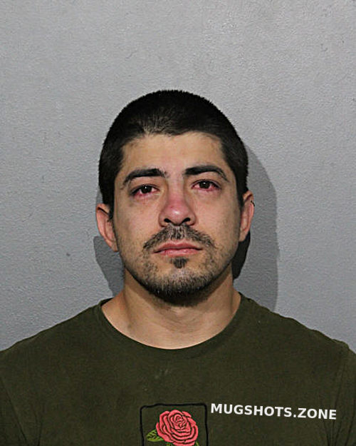 JULIAN DAVID ROMAN 12/11/2023 - Chicago Mugshots Zone