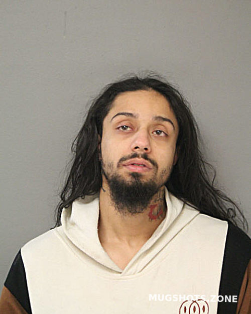 EDIN MUJKOVIC 01/02/2024 - Chicago Mugshots Zone