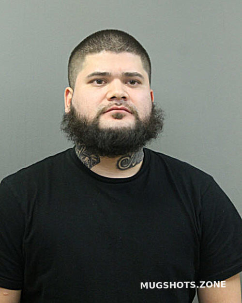 RICKY R MARTINEZ 01/06/2024 - Chicago Mugshots Zone