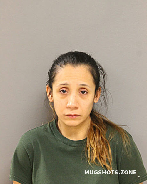 Katie Paniagua 01 12 2024 - Chicago Mugshots Zone