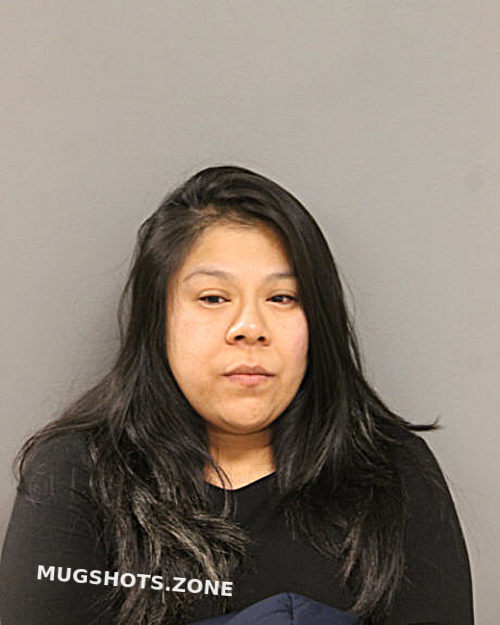 ARIANA J SANDOVAL 01/26/2024 Chicago Mugshots Zone