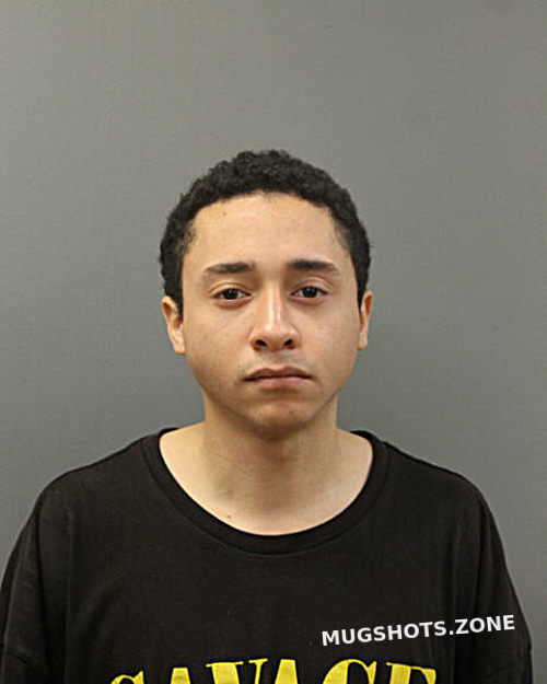 SAMUEL HERNANDEZ 01/29/2024 - Chicago Mugshots Zone