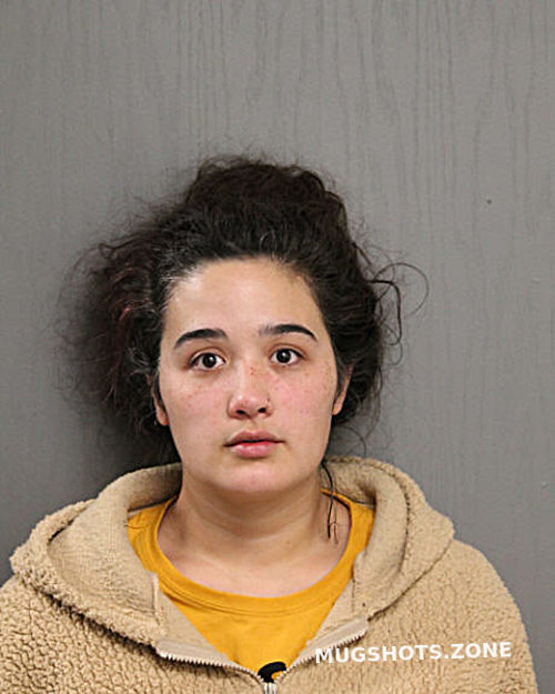 CHEYENNE J SEITZ 02/13/2024 - Chicago Mugshots Zone