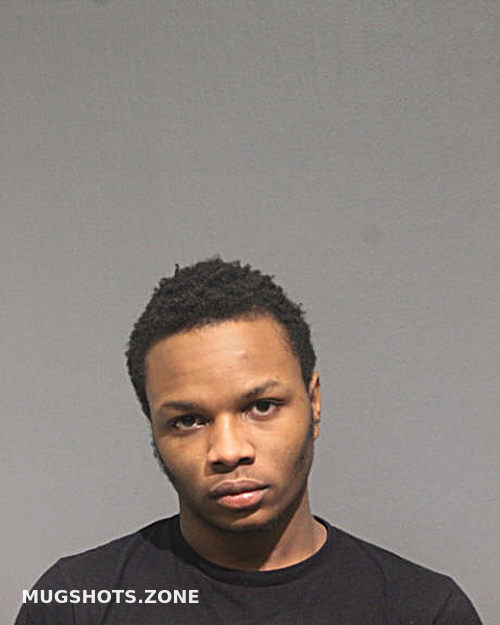 TRISTON T BROWN 03/11/2024 - Chicago Mugshots Zone