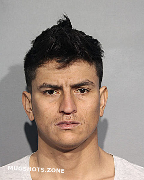 MIGUEL GONZALO-MELO RODRIGUEZ 03/19/2024 - Chicago Mugshots Zone