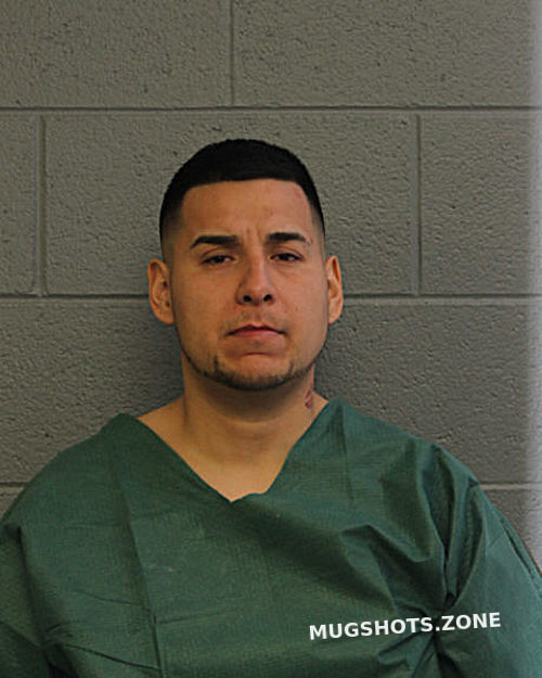 Javier Paredes 04 12 2024 Chicago Mugshots Zone