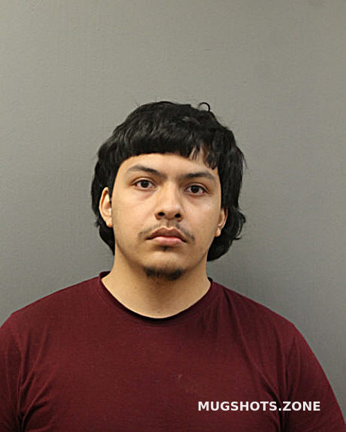 Fernando Daniel Ortega Martinez 04 15 2024 - Chicago Mugshots Zone