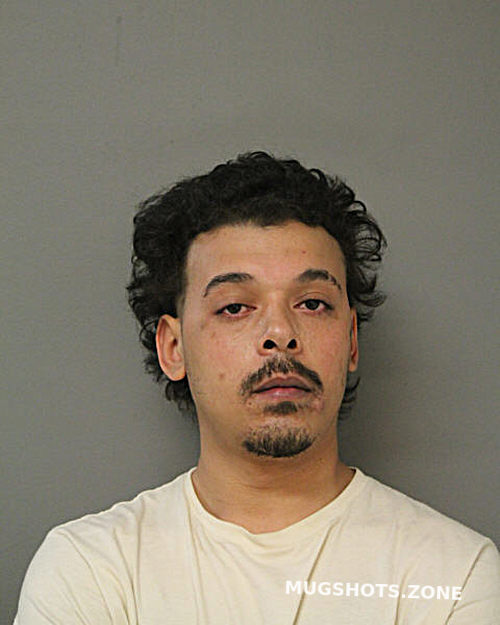 TERRELL T BONNER 04/22/2024 - Chicago Mugshots Zone