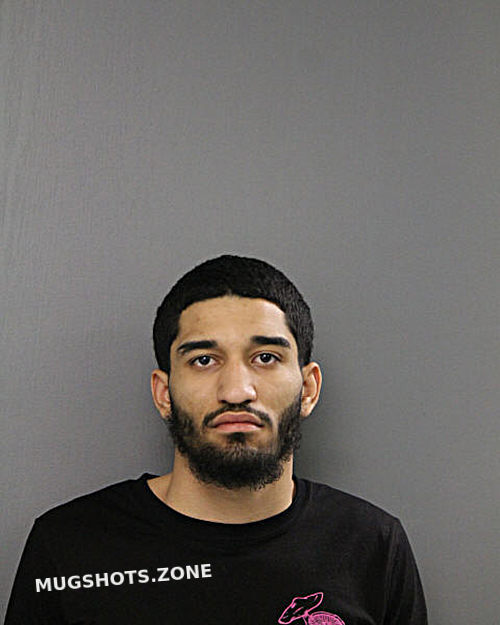 ETHAN L PEREZ 04/29/2024 - Chicago Mugshots Zone