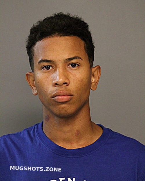 FRANKLIN PALACIOS LAYA 06/17/2024 - Chicago Mugshots Zone