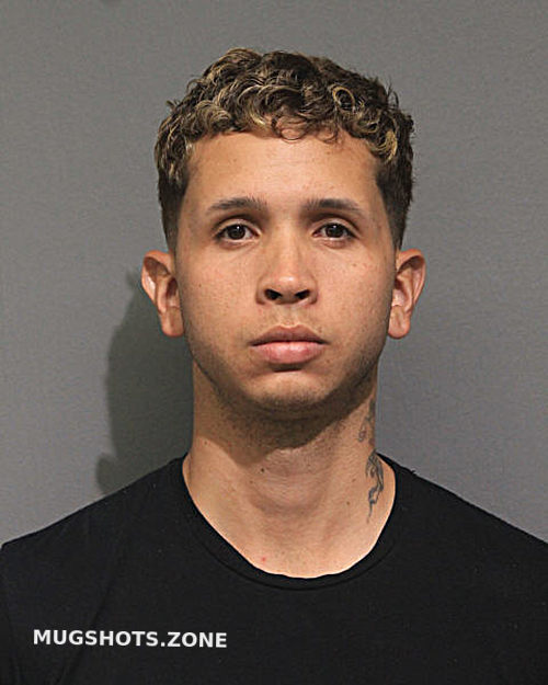 JORGE LUIS SOLORZANO RIVERO 06/26/2024 - Chicago Mugshots Zone