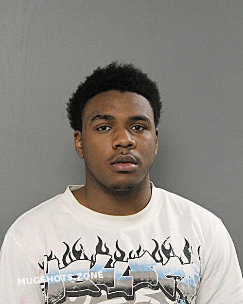 GREGORY L LOWE 06/28/2024 - Chicago Mugshots Zone