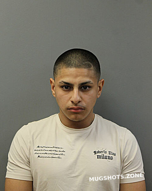zeus-garcia-11-18-2024-chicago-mugshots-zone