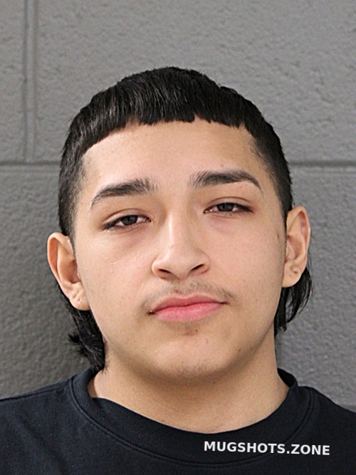 EDEN VANEGAS 03/16/2025 - Chicago Mugshots Zone