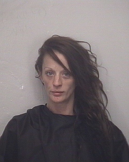 Parsons Mandy Lynn 12 22 2020 Cleveland County Mugshots Zone