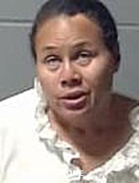 SIMPSON-REED JENNIFER 12/11/2024 - Clinton County Mugshots Zone