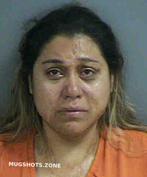 RIOS ANGELICA 04/17/2021 Collier County Mugshots Zone