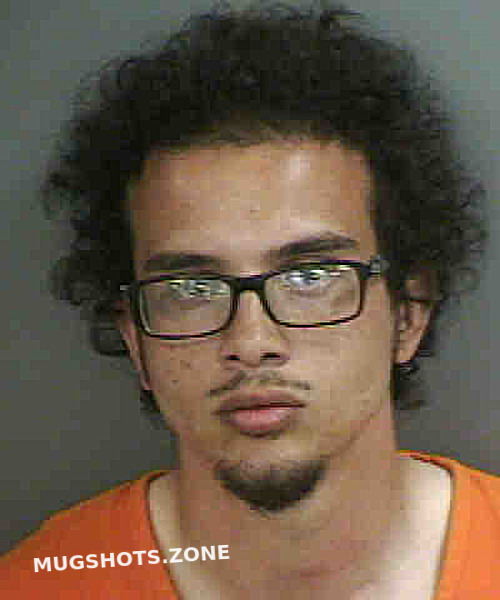 Gato Luvan 05 12 2022 Collier County Mugshots Zone