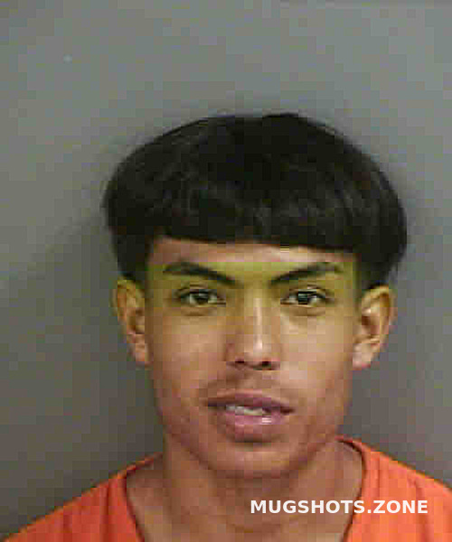 Beltern Homero 09 20 2022 Collier County Mugshots Zone